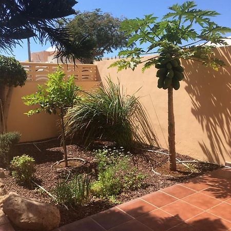 Independiente Estudio En Acogedora Casita De Mai Costa Adeje  Kültér fotó
