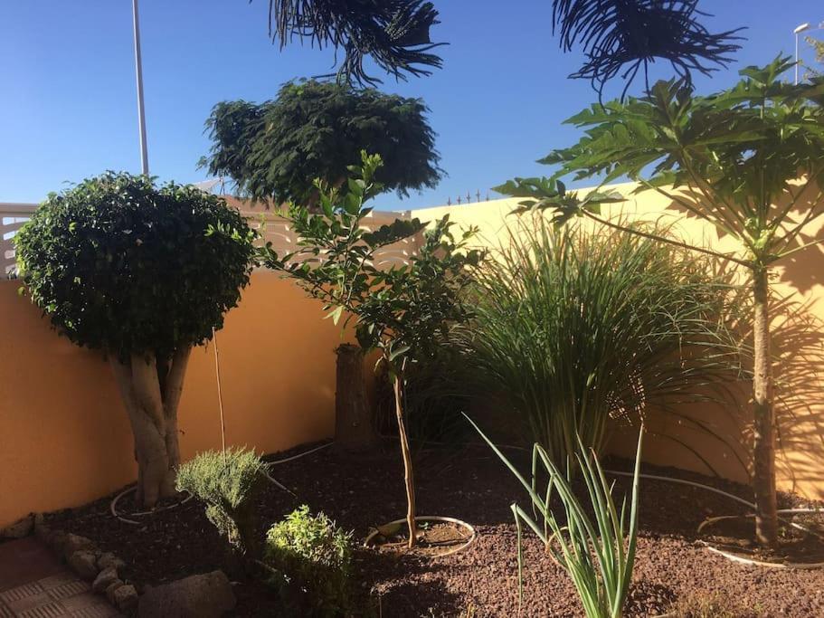 Independiente Estudio En Acogedora Casita De Mai Costa Adeje  Kültér fotó