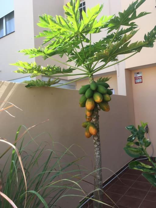 Independiente Estudio En Acogedora Casita De Mai Costa Adeje  Kültér fotó