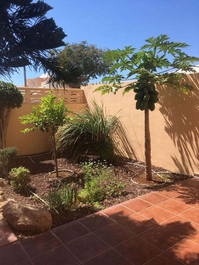Independiente Estudio En Acogedora Casita De Mai Costa Adeje  Kültér fotó